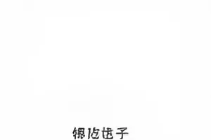 潮汐笔记云多端同步面板，标签树与版本历史